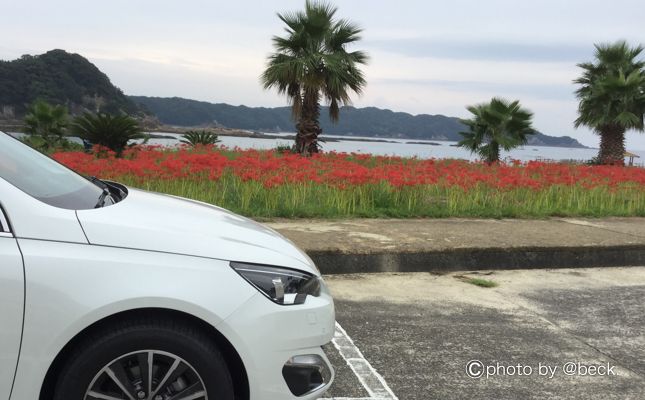 買って失敗しない車中泊アイテムを厳選！初心者からベテランまで幅広い層が共通して使っている人気車中泊アイテムを紹介。実際に買って試してみたけど使いづらい。せっかく買うなら便利で耐久性もあって長く使えるアイテムを選びたい。今回は車中泊キャンパーが愛用している車中泊アイテムの数々を見てみよう！