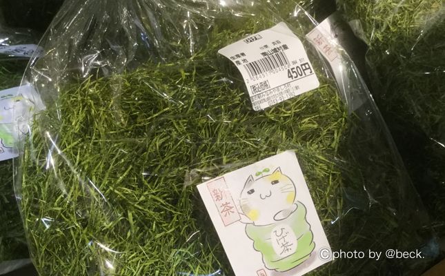 京都の道の駅「南山城村」へ車中泊旅行をしよう!濃厚抹茶アイスは絶品!南山城村産の抹茶や地元野菜は新鮮で美味しい