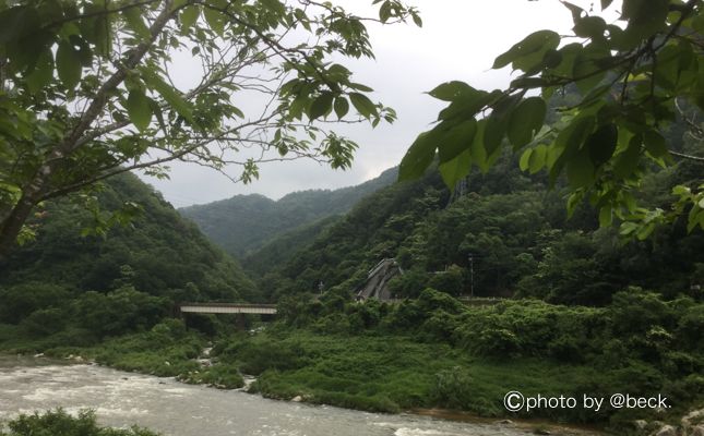 京都の道の駅「南山城村」へ車中泊旅行をしよう！濃厚抹茶アイスは絶品！南山城村産の抹茶や地元野菜は新鮮で美味しい