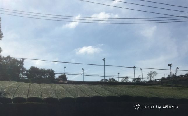 京都の道の駅「南山城村」へ車中泊旅行をしよう！濃厚抹茶アイスは絶品！南山城村産の抹茶や地元野菜は新鮮で美味しい