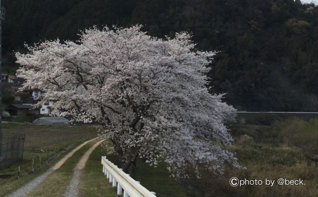 春の車中泊は準備が大切！軽装備が命取り！？ちょっと暖かくなったから油断していると痛い目に合う。